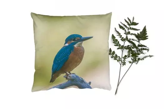 Декоративная подушка MuchoWow диванная подушка для гостиной декоративная подушка 60 x 60 см зимородок - ветка - птица - чехол на подушку - хлопчатобумажная ткань - декоративные наволочки