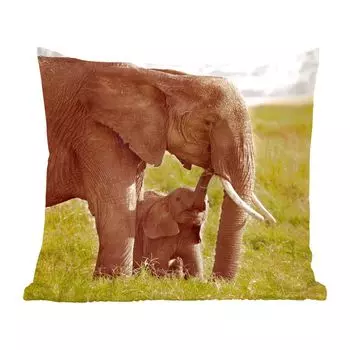 Декоративная подушка MuchoWow диванная подушка для гостиной декоративная подушка 60 x 60 см слон - трава - молодой - хобот - чехол на подушку - хлопчатобумажная ткань - декоративные наволочки