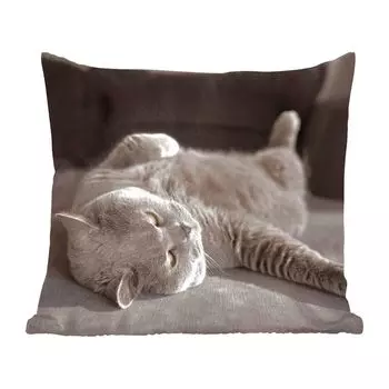 Декоративная подушка MuchoWow, диванная подушка для гостиной, декоративная подушка 60 x 60 см животное - кошка - серый - чехол на подушку - хлопчатобумажная ткань - декоративные наволочки