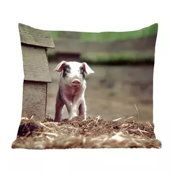 Декоративная подушка MuchoWow диванная подушка для гостиной декоративная подушка 40x40 см свинья - стабильная - детская - чехлы на диванные подушки - без наполнителя