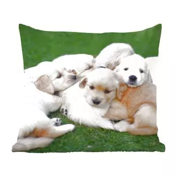 Декоративная подушка MuchoWow диванная подушка для гостиной декоративная подушка 60 x 60 см животные - щенки - собаки - чехол на подушку - хлопчатобумажная ткань - декоративные чехлы на подушки