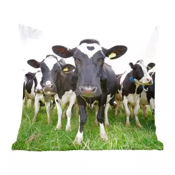 Декоративная подушка MuchoWow диванная подушка для гостиной декоративная подушка 60 x 60 см коровы - трава - весна - животные - луг - ферма - чехол на подушку - хлопчатобумажная ткань - декоративные наволочки