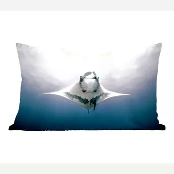 Декоративная подушка MuchoWow диванная подушка для гостиной декоративная подушка 50 x 30 см рыба - вода - тропическая рыба - чехлы на диванные подушки - без наполнителя
