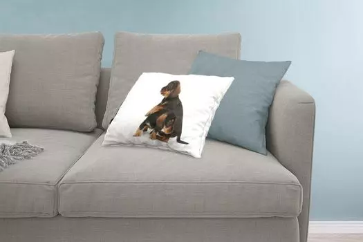 Декоративная подушка MuchoWow диванная подушка для гостиной декоративная подушка 60 x 40 см студийное фото двух милых такс - чехлы для подушек - декоративные чехлы для подушек - декоративные чехлы для подушек