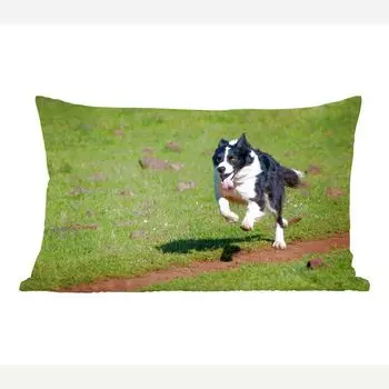 Декоративная подушка MuchoWow диванная подушка для гостиной декоративная подушка 50х30 см. Активный бордер-колли бегает по полю - чехлы на диванные подушки - без наполнителя