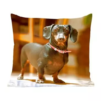 Декоративная подушка MuchoWow диванная подушка для гостиной декоративная подушка 50 х 50 см портрет черной таксы - чехлы на подушки - украшение - спальня