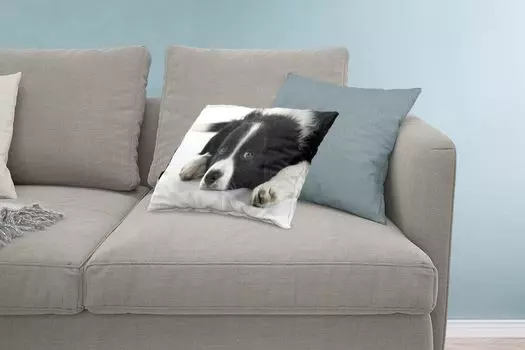 Декоративная подушка MuchoWow диванная подушка для гостиной декоративная подушка 60x40 см Бордер-колли лежит на полу - чехлы на подушки - чехлы декоративные - чехлы декоративные