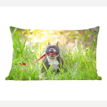 Декоративная подушка MuchoWow диванная подушка для гостиной декоративная подушка 50х30 см Французский бульдог - трава - поводок для собаки - чехлы на диванные подушки - без наполнителя
