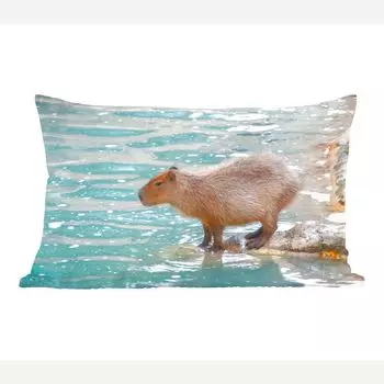 Декоративная подушка MuchoWow диванная подушка для гостиной декоративная подушка 50x30 см Капибара стоит у воды в мягком солнечном свете - чехлы для диванных подушек - без наполнителя