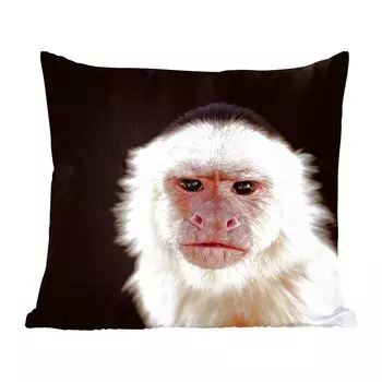 Декоративная подушка MuchoWow диванная подушка для гостиной декоративная подушка 60 x 60 см обезьяна - мех - черный - чехол на подушку - хлопчатобумажная ткань - декоративные чехлы на подушки
