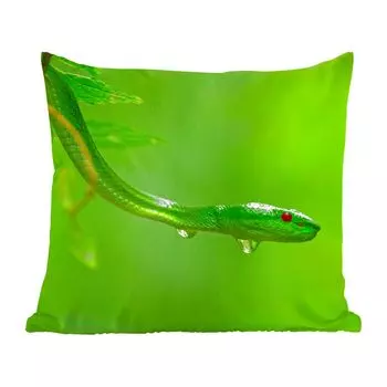 Декоративная подушка MuchoWow, подушка для дивана, декоративная подушка для гостиной, 50 х 50 см, зеленая змея вблизи - чехлы на подушки - украшение - спальня