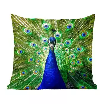 Декоративная подушка MuchoWow, подушка для дивана, декоративная подушка для гостиной, 60 х 60 см, павлин - перья - глаза - синий - чехол на подушку - хлопчатобумажная ткань - декоративные чехлы на подушки, мультиколор
