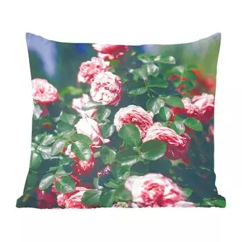 Декоративная подушка MuchoWow, подушка для дивана, декоративная подушка для гостиной, 60 х 60 см, красивая розовая роза в летнем саду - чехол на подушку - хлопчатобумажная ткань - декоративные наволочки