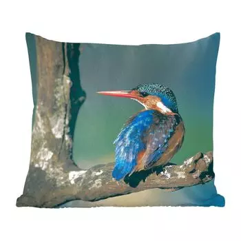 Декоративная подушка MuchoWow, подушка для дивана, декоративная подушка для гостиной, 60 x 60 см, зимородок - животное - разноцветный - чехол на подушку - хлопчатобумажная ткань - декоративные чехлы на подушки