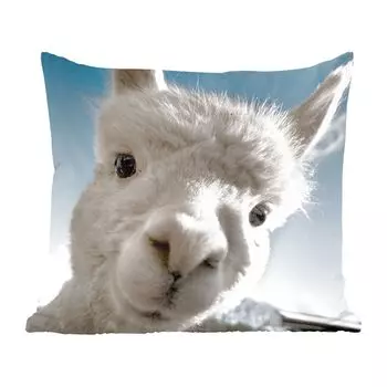 Декоративная подушка MuchoWow, подушка для дивана, декоративная подушка для гостиной, 50 x 50 см, альпака - животное - белый - чехлы на подушки - украшение - спальня