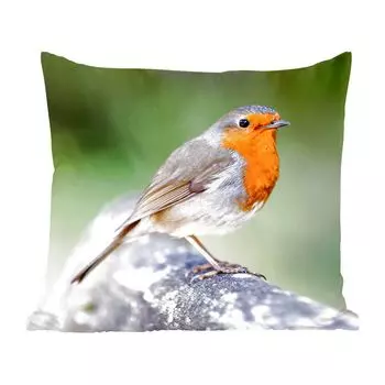 Декоративная подушка MuchoWow, подушка для дивана, декоративная подушка для гостиной, 50 х 50 см, малиновка - ветка - дерево - чехлы на подушки - украшение - спальня