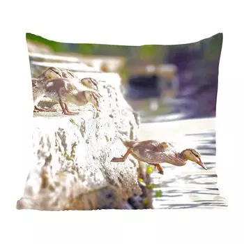 Декоративная подушка MuchoWow, подушка для дивана, декоративная подушка для гостиной, 60 х 60 см, утки, камни, цыплята, чехол на подушку, хлопчатобумажная ткань, декоративные чехлы на подушки