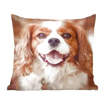 Декоративная подушка MuchoWow, подушка для дивана, декоративная подушка для гостиной, 60 х 60 см, Кавалер-кинг-чарльз-спаниель осенью - чехол на подушку - хлопчатобумажная ткань - декоративные наволочки