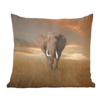 Декоративная подушка MuchoWow, подушка для дивана, декоративная подушка для гостиной, 60 x 60 см, пасущийся слон - чехол на подушку - хлопчатобумажная ткань - декоративные чехлы на подушки