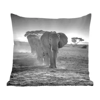 Декоративная подушка MuchoWow, подушка для дивана, декоративная подушка для гостиной, 60 х 60 см, слоны в Кении в черно-белом цвете - чехол на подушку - хлопчатобумажная ткань - декоративные чехлы на подушки
