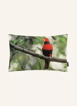 Декоративная подушка Proflax LORY, 30x50 см, цвет grn/dunkelgrau/orange