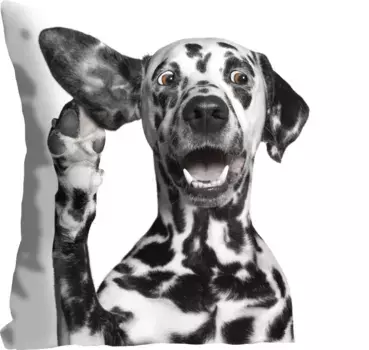 Декоративная подушка Queence "Далматинец", (1 шт.), с пятнистым далматинцем 40х40 см, черный/белый