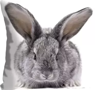 Декоративная подушка Queence "Шестёрка", с пушистым зайчиком, чехол без наполнения, 1 шт 40х40 см, серый