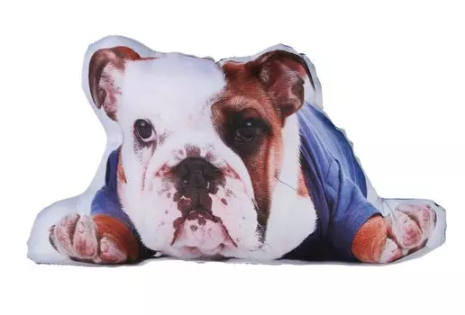 Декоративная подушка с фотопринтом собаки ок. 40х25 см. Декоративная подушка для дивана. Подушка с наполнителем Haus und Deko