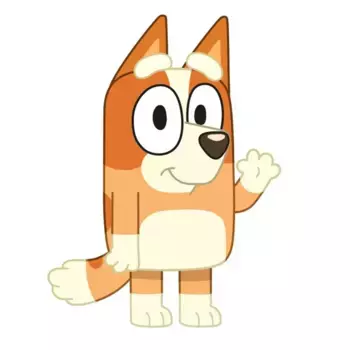 Декоративная поудшка Aymax