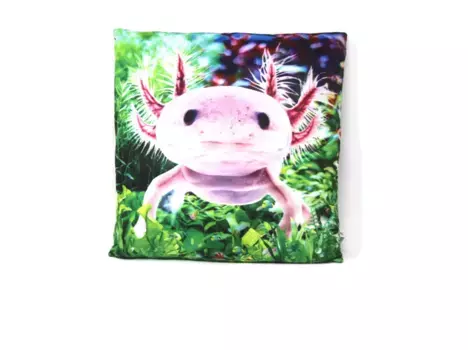 Декоративная поудшка Cornelissen