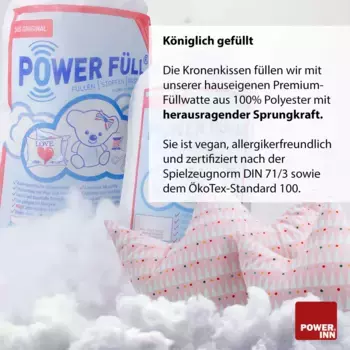 Декоративная поудшка POWER INN