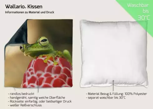 Декоративная поудшка Wallario