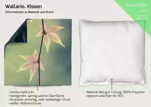 Декоративная поудшка Wallario, зеленый