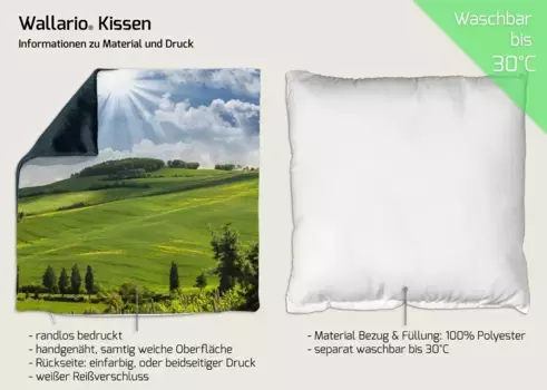 Декоративная поудшка Wallario, зеленый