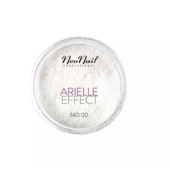Декоративная пудра ARIELLE EFFECT CLASSIC №. 00 2 часа NEONAIL