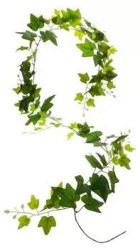 Декоративное растение Atmosphera Crateur d'intrieur Efeu-Girlande, зеленый