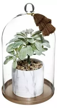 Декоративное растение Atmosphera Crateur d'intrieur Hngepflanze mit Glocke SUITE, многоцветный