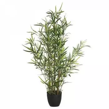 Декоративное растение Atmosphera Crateur d'intrieur JJ091, зеленый