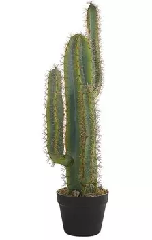 Декоративное растение Beliani CACTUS, черный/зеленый