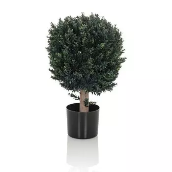 Декоративное растение hjh OFFICE BUXUS, зеленый