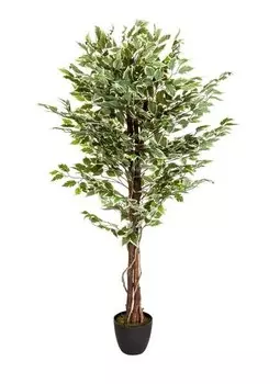 Декоративное растение hjh OFFICE FICUS, зеленый