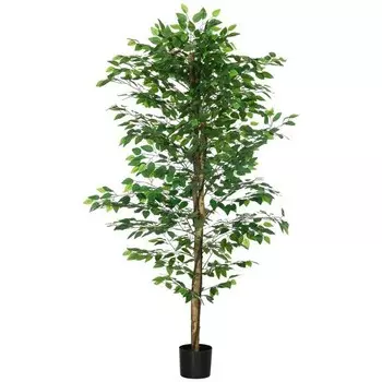 Декоративное растение HOMCOM Ficus-Pflanze 830-799V01GN, зеленый