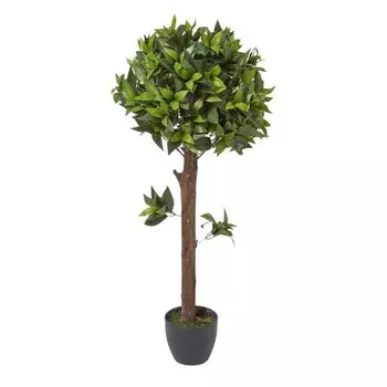 Декоративное растение Homescapes Lorbeerbaum Kugel, зеленый