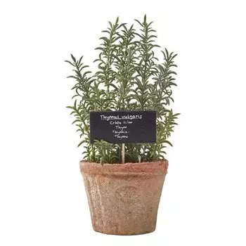 Декоративное растение Homescapes Thymian-Topfpflanze цвет terracotta