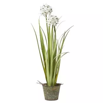 Декоративное растение Homescapesn Lauch-Arten in grauer Topf, белый