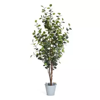 Декоративное растение IBBE DESIGN Eukalyptus 180 cm, зеленый