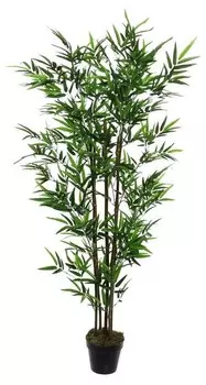 Декоративное растение Mica Decorations Bambus, зеленый