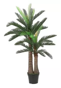 Декоративное растение Mica Decorations Cycas, зеленый