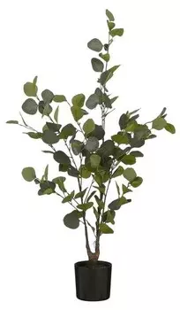 Декоративное растение Mica Decorations Eucalyptus in Blumentopf, зеленый