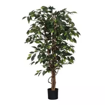 Декоративное растение Mica Decorations Ficus, зеленый